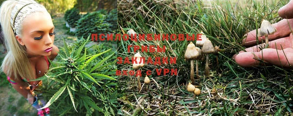 мяу мяу мука Вяземский