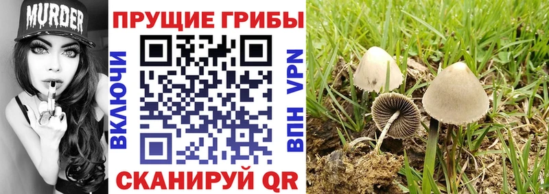 Псилоцибиновые грибы Magic Shrooms Купить Карачев